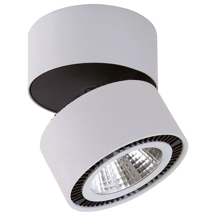 Светильник Forte Muro LED 213830